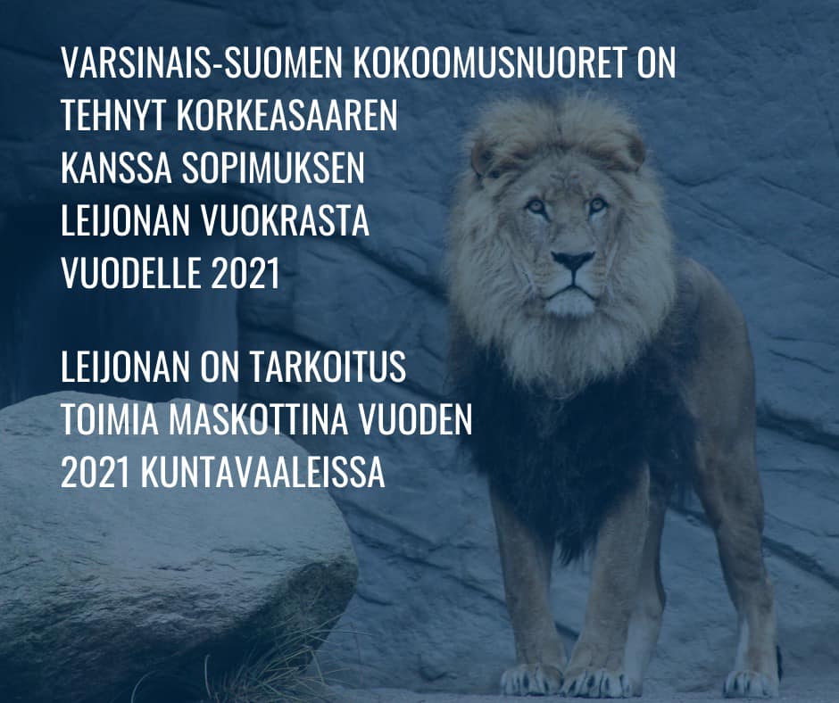 Turun Kokoomuksen Nuoret tuo leijonat Zoolandiaan