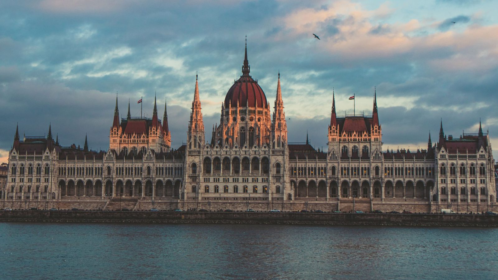 Pohjoismaiden kokoomusnuoret: Fidesz erotettava EPP:stä