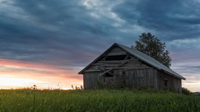 Kuvituskuva: Paavo ja Sven suomalaisuuden rakentajina