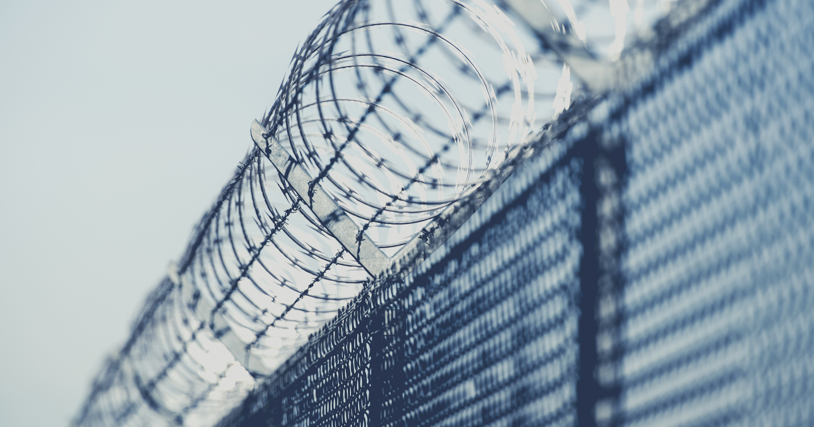 Kokoomusnuoret: Tekosyyt on jo kuultu – Suomen liityttävä mukaan talviolympialaisten diplomaattiseen boikottiin