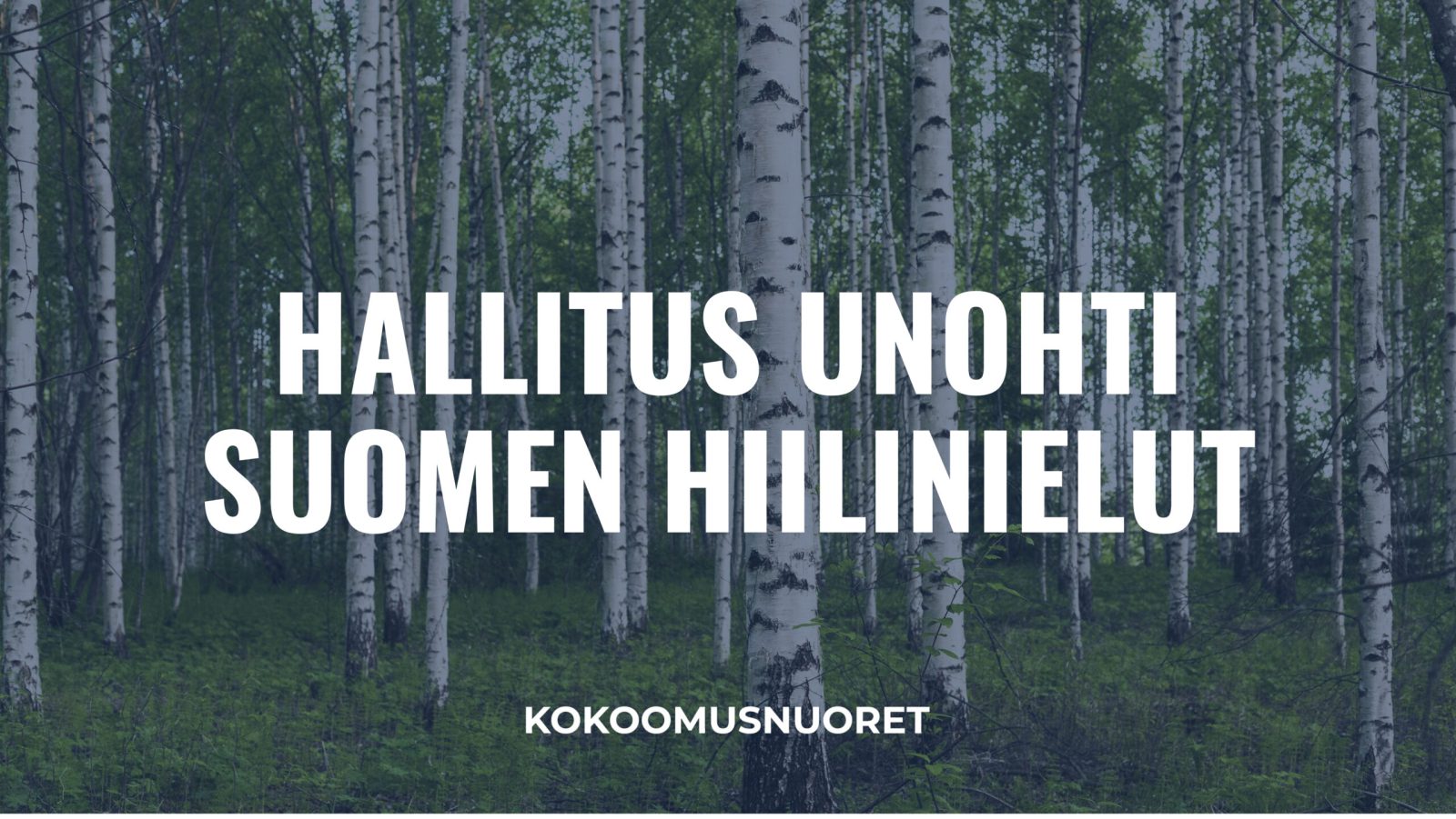 Kokoomusnuoret: Hallitus unohti Suomen hiilinielut