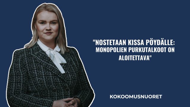 Kuvituskuva: Kokoomusnuoret: Monopolien purkutalkoot on aloitettava