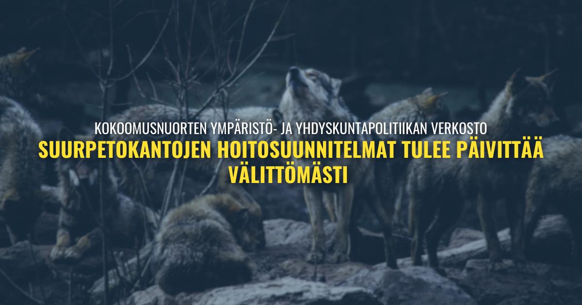 Ympäristö- ja yhdyskuntapolitiikan verkosto: Suurpetojen kannanhoidollinen metsästys on luonnon tasapainon ylläpitämisen kulmakivi